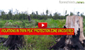Violations in Tripa peat protection zone uncovered