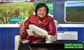 Minister elaborates on Indonesia's move to align peat, mangrove restoration