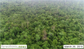 Business group sells concession containing peat forests and orangutans
